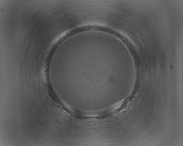 X0000051890872200506241346