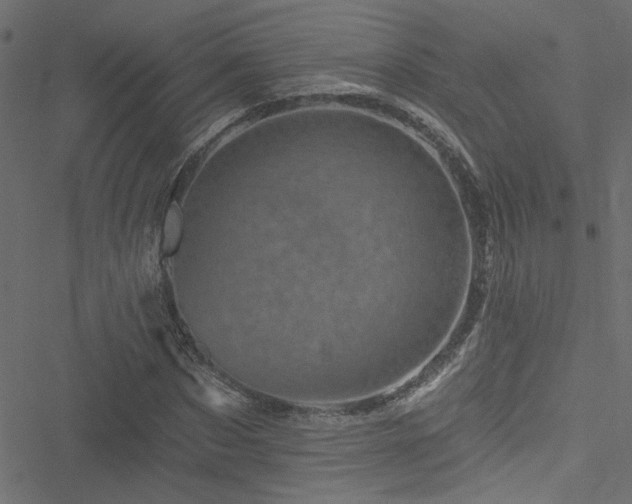 X0000051890873200506241346