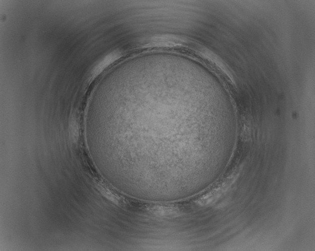 X0000051890874200506241346