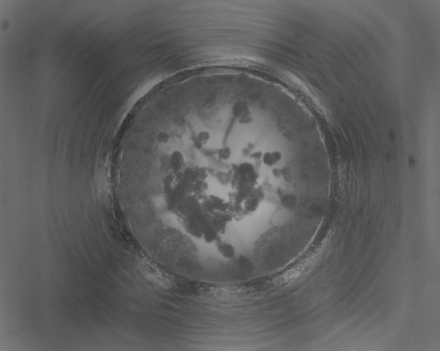 X0000051890875200506241346