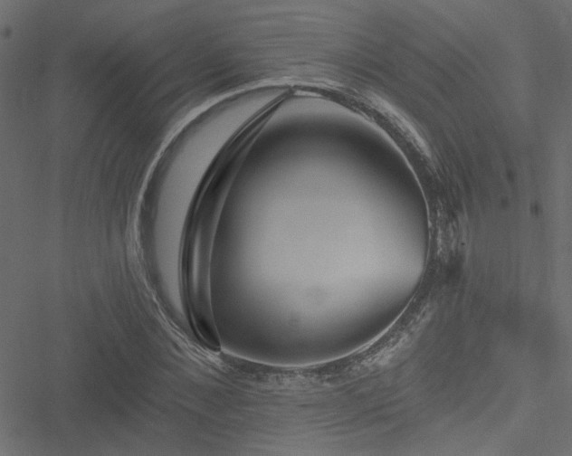 X0000051890876200506241346