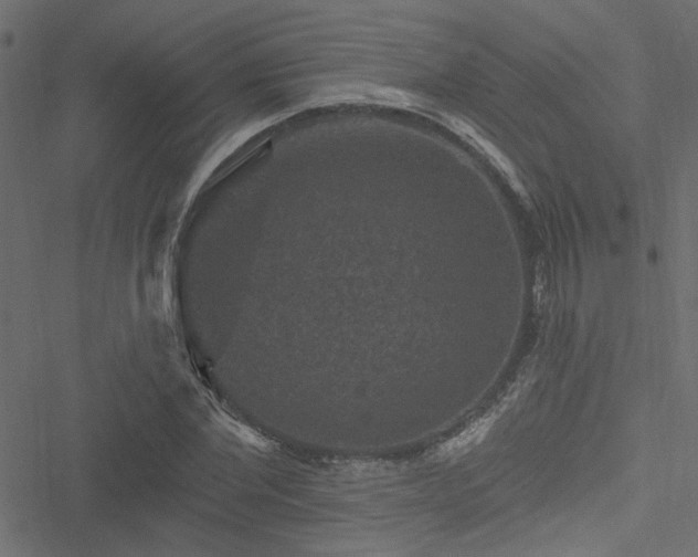 X0000051890877200506241346