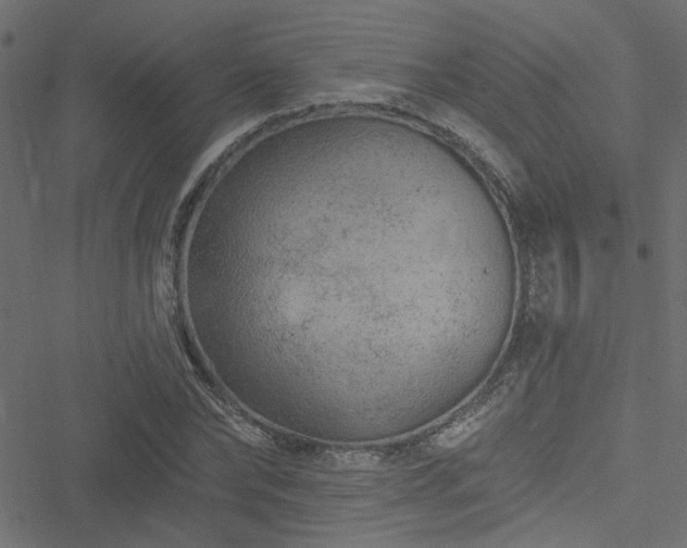 X0000051890878200506241346