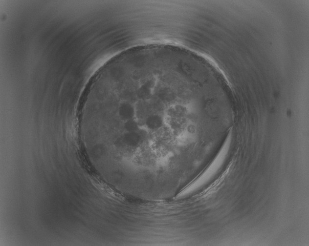 X0000051890879200506241346