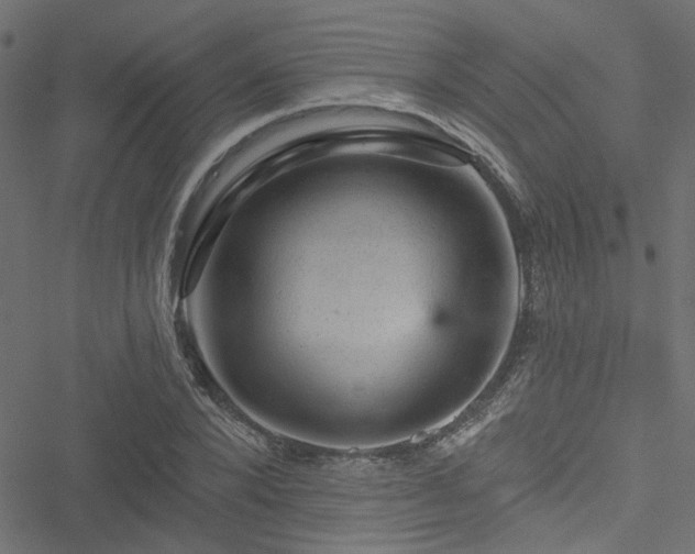 X0000051890880200506241346