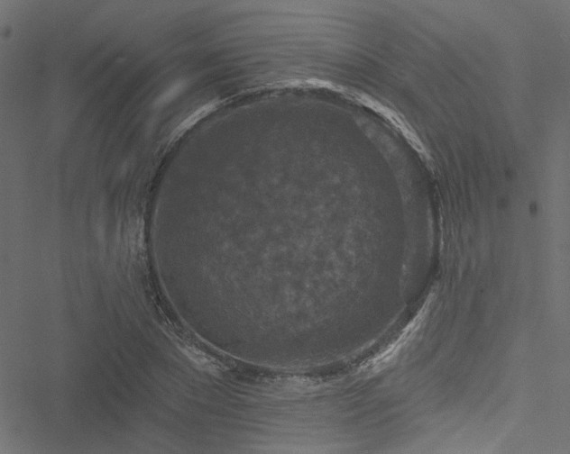 X0000051890881200506241346