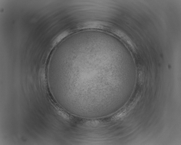 X0000051890882200506241346