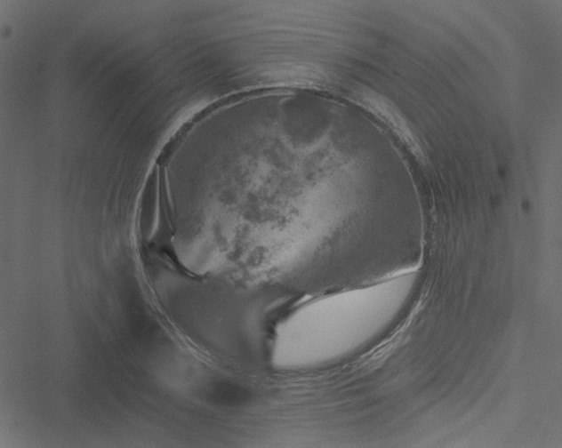 X0000051890883200506241346