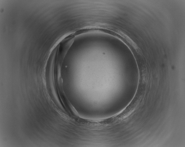 X0000051890885200506241346