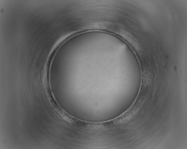 X0000051890886200506241346