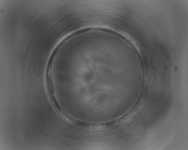 X0000051890887200506241346