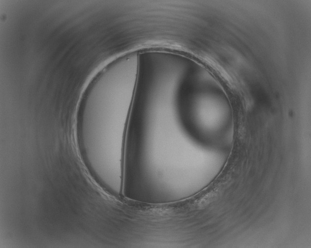 X0000051890888200506241346