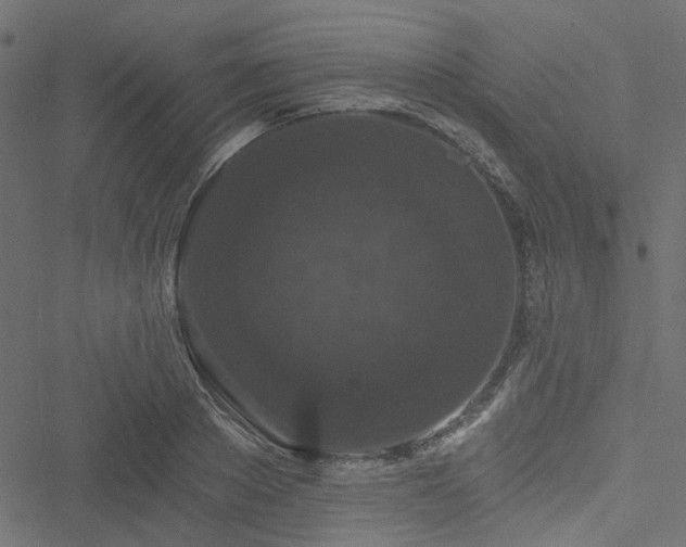 X0000051890889200506241346