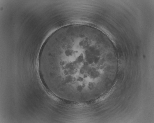 X0000051890891200506241346