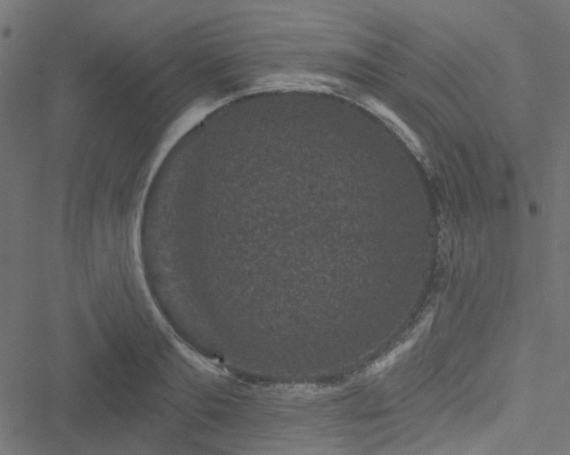 X0000051890893200506241346