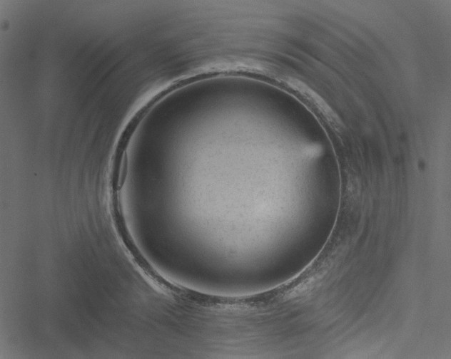 X0000051890894200506241346