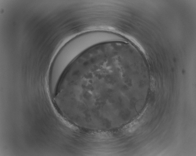 X0000051890895200506241346