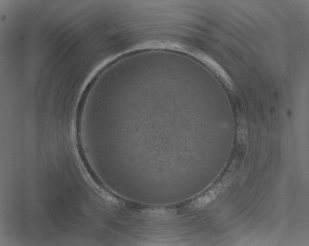 X0000051890896200506241346