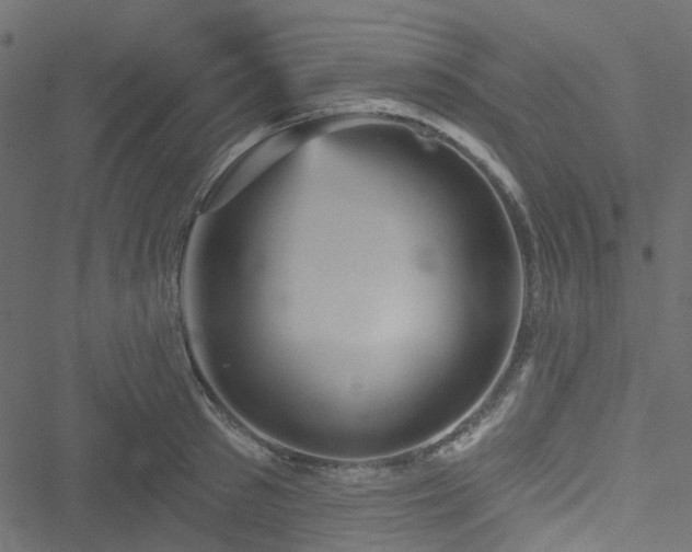 X0000051890897200506241346