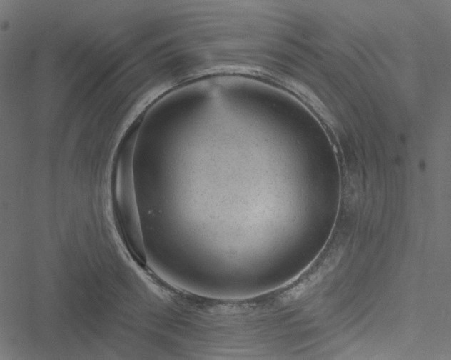 X0000051890898200506241346