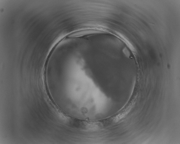 X0000051890899200506241346