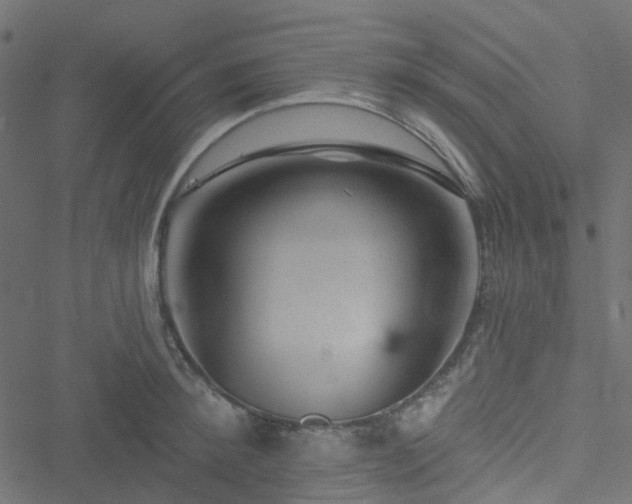 X0000051890900200506241346