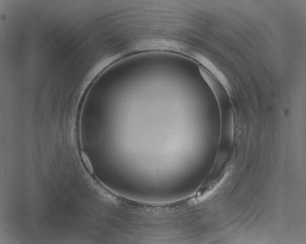 X0000051890901200506241346