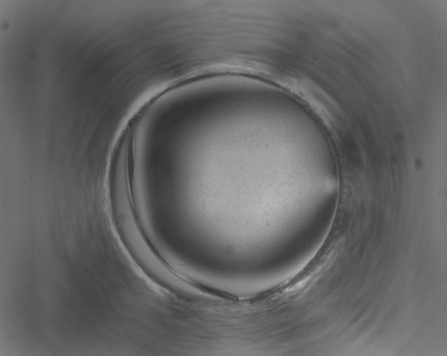 X0000051890902200506241346