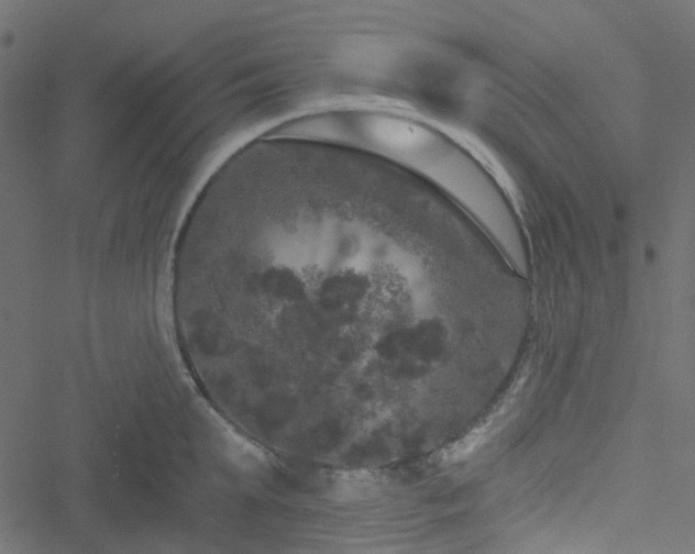 X0000051890903200506241346