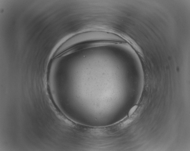 X0000051890904200506241346