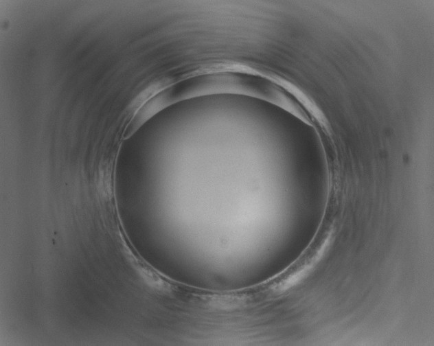 X0000051890905200506241346