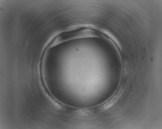 X0000051890906200506241346