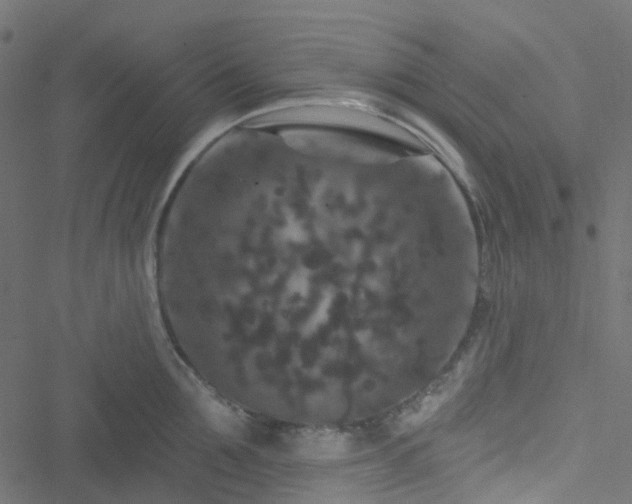 X0000051890907200506241346