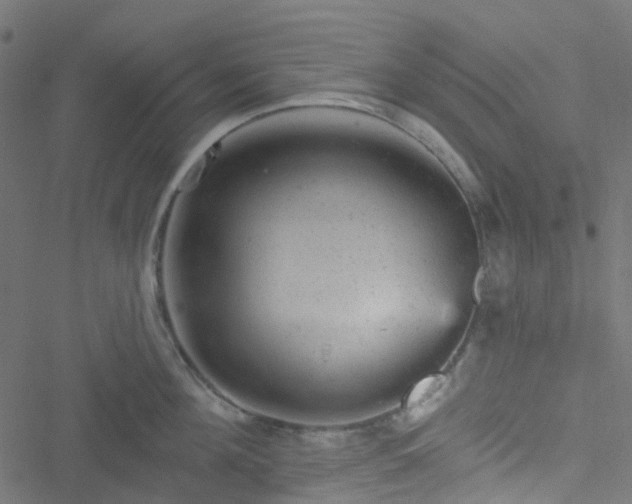 X0000051890908200506241346