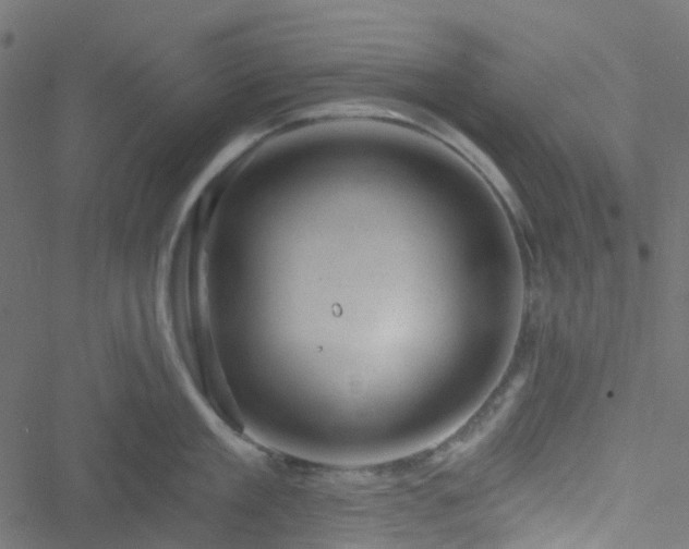 X0000051890909200506241346