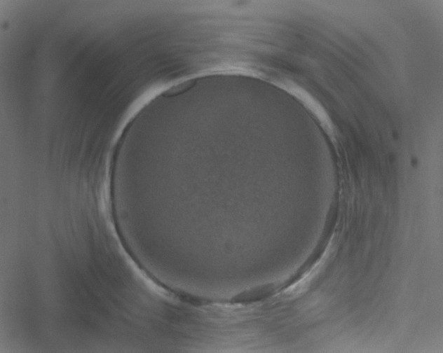 X0000051890910200506241346