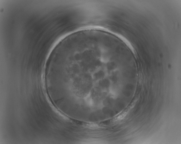 X0000051890911200506241346