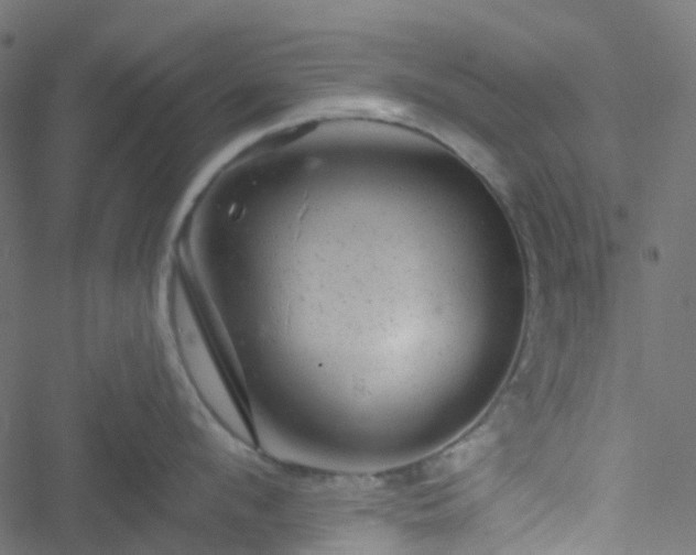 X0000051890912200506241346