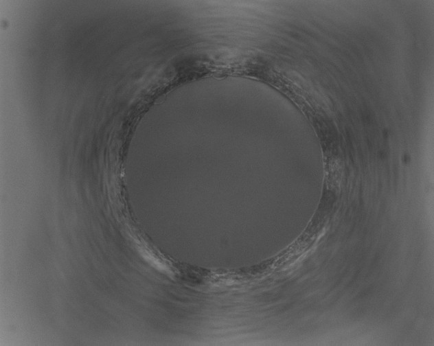 X0000051890913200506241345