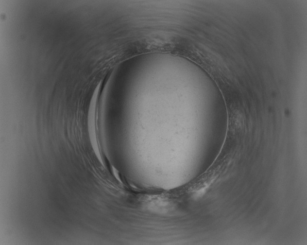 X0000051890914200506241345