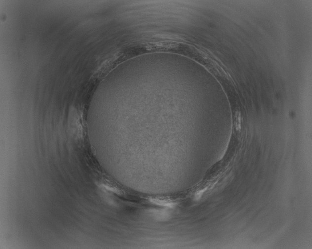 X0000051890915200506241345