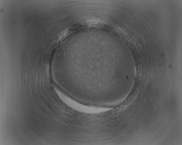 X0000051890916200506241345