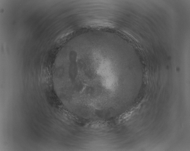 X0000051890917200506241345