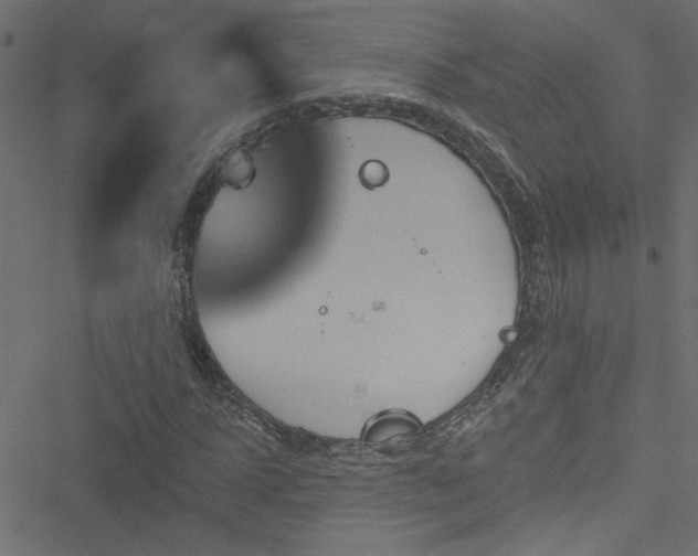 X0000051890918200506241345