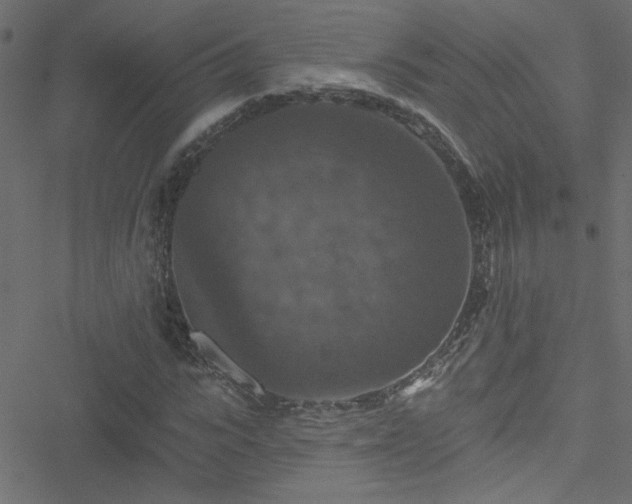 X0000051890919200506241345