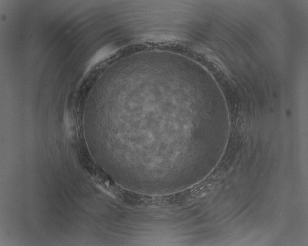 X0000051890920200506241345