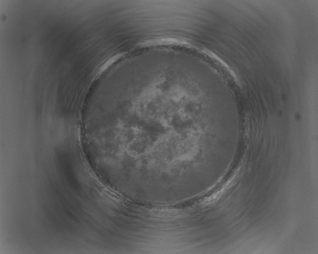 X0000051890921200506241345