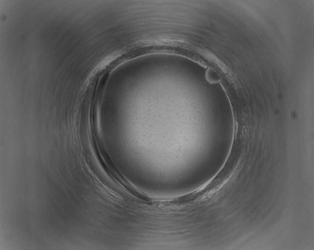 X0000051890922200506241345