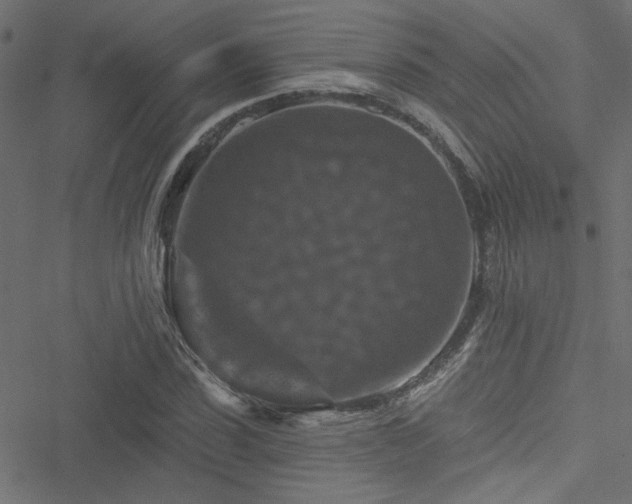 X0000051890923200506241345