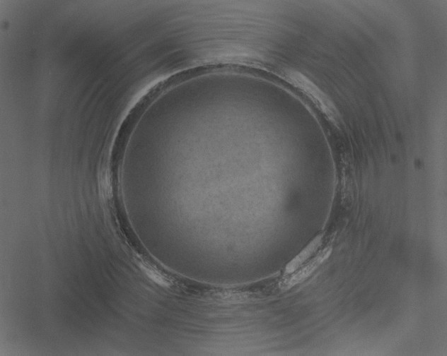 X0000051890924200506241345